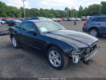  Salvage Ford Mustang