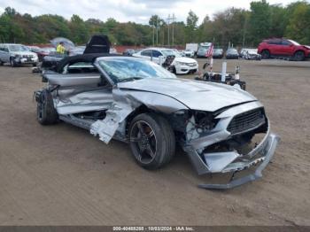  Salvage Ford Mustang