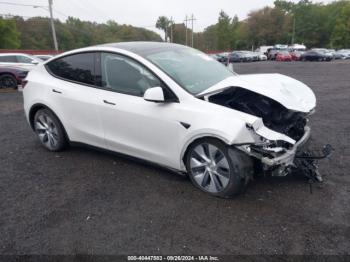  Salvage Tesla Model Y