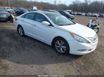  Salvage Hyundai SONATA