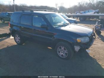  Salvage Ford Escape