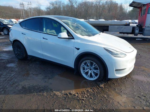  Salvage Tesla Model Y