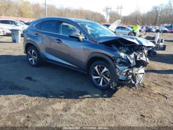  Salvage Lexus NX