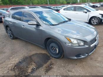  Salvage Nissan Maxima