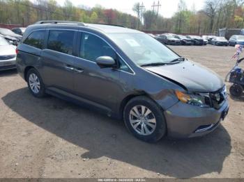 Salvage Honda Odyssey