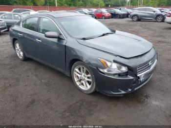  Salvage Nissan Maxima