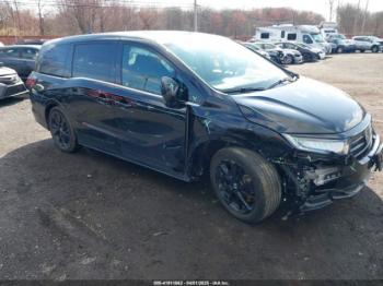  Salvage Honda Odyssey