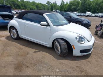  Salvage Volkswagen Beetle
