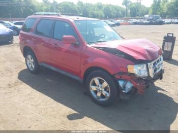  Salvage Ford Escape