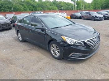  Salvage Hyundai SONATA