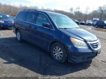 Salvage Honda Odyssey