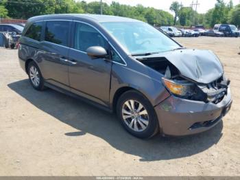  Salvage Honda Odyssey