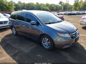  Salvage Honda Odyssey