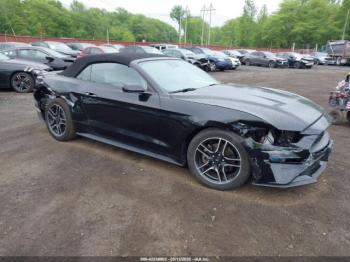  Salvage Ford Mustang