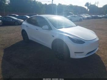  Salvage Tesla Model Y