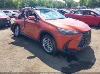  Salvage Lexus NX