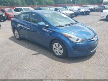  Salvage Hyundai ELANTRA