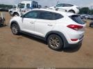 Hyundai TUCSON Eco Image 6