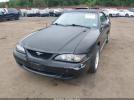 Ford Mustang Gt Image 8