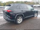Toyota RAV4 Xle Image 7