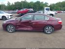Honda Accord Lx Image 11