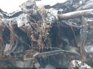 Ford Transit Image 4