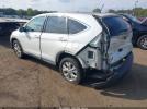 Honda CR-V Ex Image 10