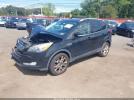 Ford Escape Titanium Image 6
