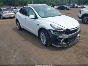  Salvage Tesla Model Y