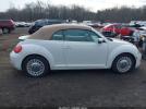 Volkswagen Beetle 1.8t Image 10