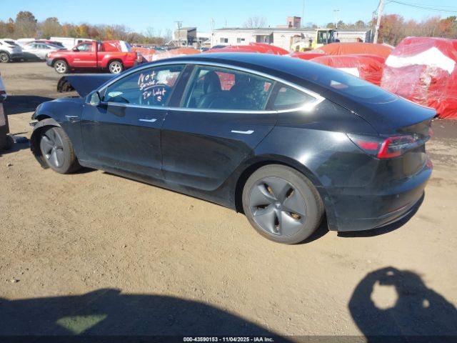 Tesla Model 3 Image 7
