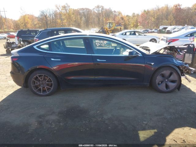 Tesla Model 3 Image 10
