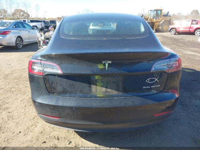 Tesla Model 3 Image 13