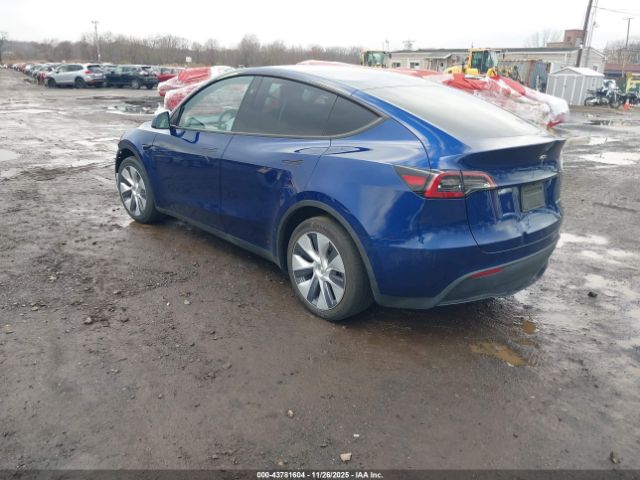 Tesla Model Y Image 4