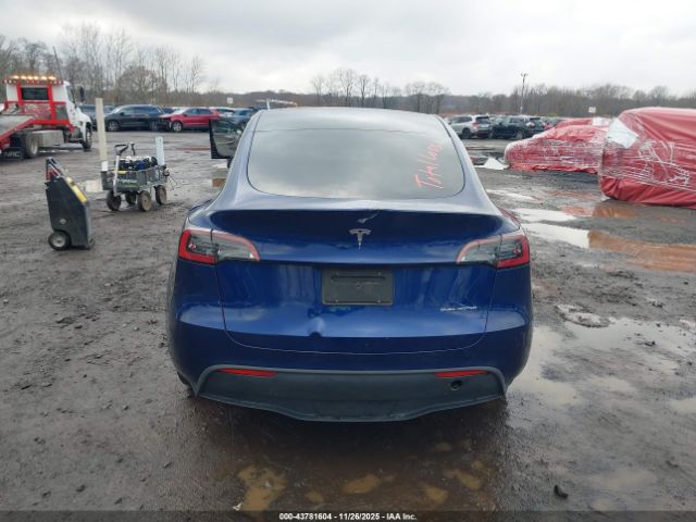 Tesla Model Y Image 2