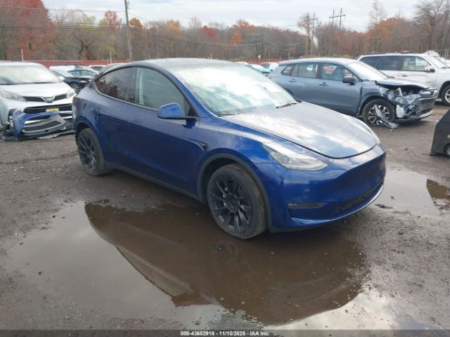 Tesla Model Y Long Range Dual Motor All-wheel Drive Image 1