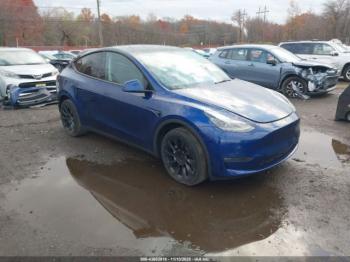  Salvage Tesla Model Y