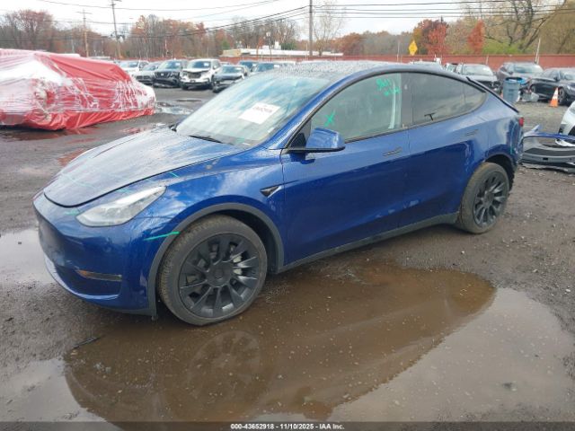 Tesla Model Y Long Range Dual Motor All-wheel Drive Image 5