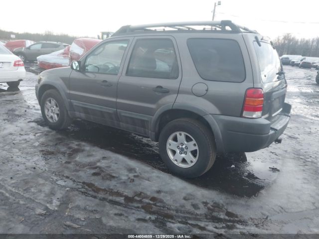 Ford Escape Xlt Image 3