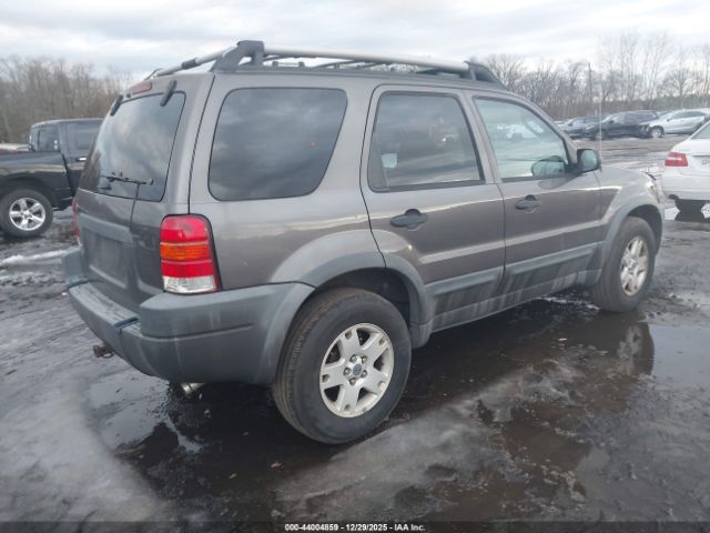 Ford Escape Xlt Image 10
