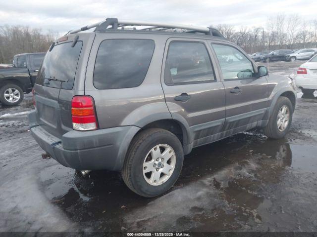 Ford Escape Xlt Image 10