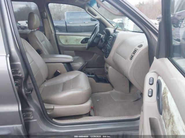 Ford Escape Xlt Image 12