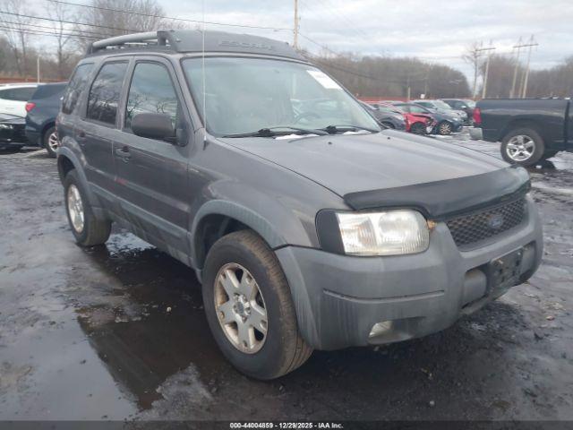 Ford Escape Xlt Image 4