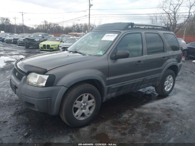 Ford Escape Xlt Image 7