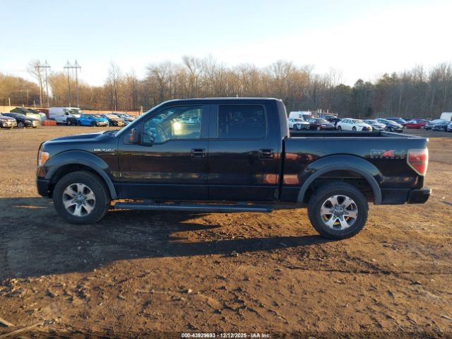 Ford F-150 Fx4 Image 12