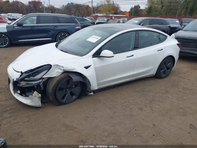 Tesla Model 3 Long Range Dual Motor All-wheel Drive Image 19