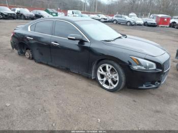  Salvage Nissan Maxima