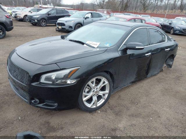 Nissan Maxima 3.5 Sv Image 4