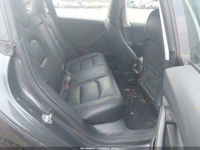 Tesla Model 3 Rear-wheel Drive Image 11