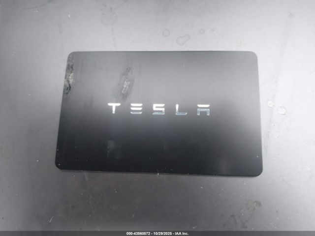 Tesla Model 3 Rear-wheel Drive Image 15